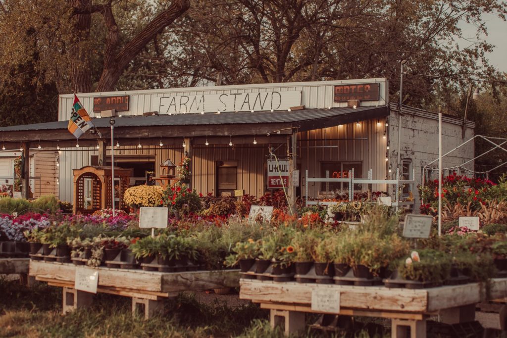 A flower shop with lots of flowers in front of it